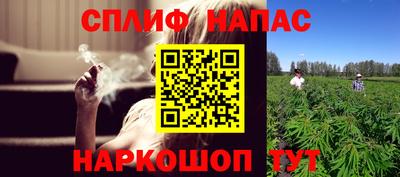 СК Рязань