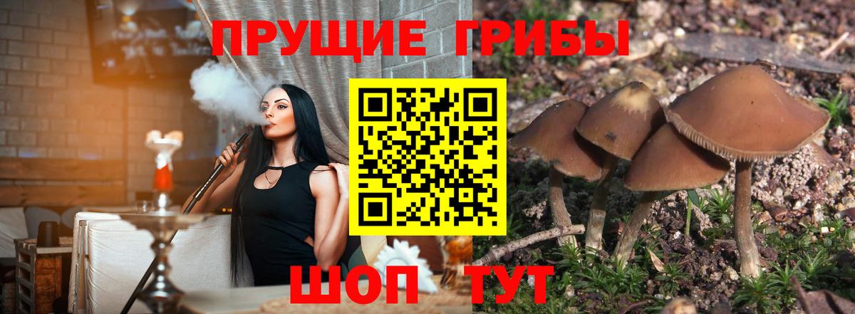 Асбест  Псилоцибиновые грибы ЛСД  Вход с VPN  Галлюциногенные грибы Psilocybine cubensis 